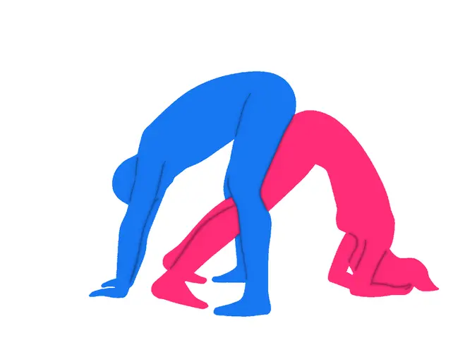 Position sexuelle Le Jeu du Miroir II
