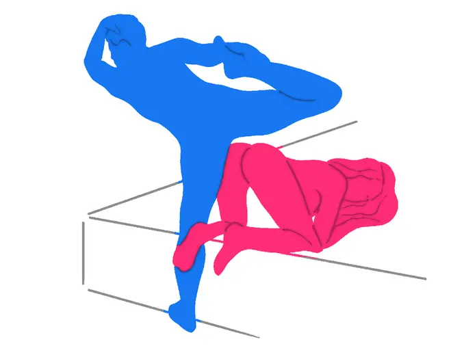 Position sexuelle La Rencontre Sauvage